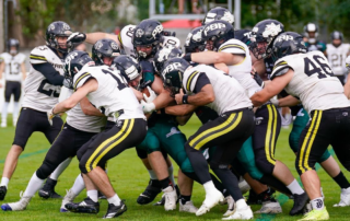 AFBÖ, German Football Network, GFN, German Football League, AFVD, GFL, DFFL, AFBÖ, AFLE, EFA, ELF, American Football, NFL, Football is family