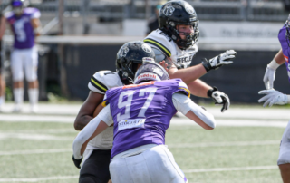 AFBÖ, German Football Network, GFN, German Football League, AFVD, GFL, DFFL, AFBÖ, AFLE, EFA, ELF, American Football, NFL, Football is family