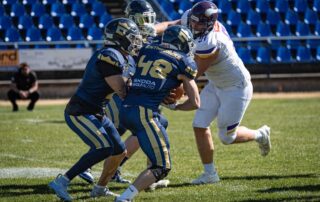 AFBÖ, German Football Network, GFN, German Football League, AFVD, GFL, DFFL, AFBÖ, AFLE, EFA, ELF, American Football, NFL, Football is family