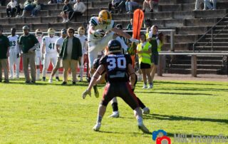 Solingen Paladins, Cologne Crocodiles, German Football Network, GFN, German Football League, AFVD, GFL, DFFL, AFBÖ, AFLE, EFA, ELF, American Football, NFL, Football is family