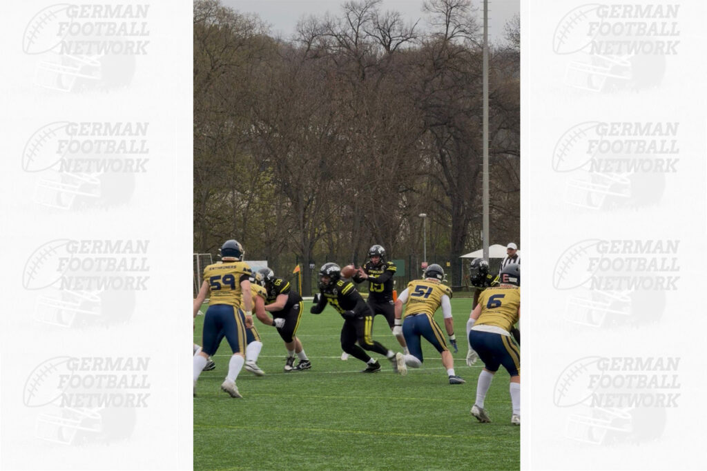 AFBÖ, German Football Network, GFN, German Football League, AFVD, GFL, DFFL, AFBÖ, AFLE, EFA, ELF, American Football, NFL, Football is family