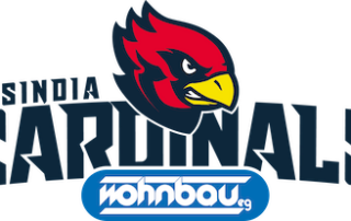 Wohnbau Assindia Cardinals, German Football Network, GFN, German Football League, AFVD, GFL, DFFL, AFBÖ, AFLE, EFA, ELF, American Football, NFL, Football is family