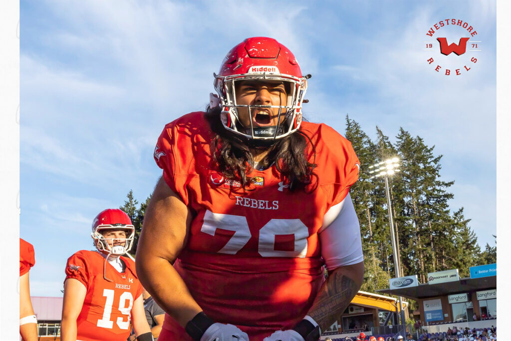 Pforzheim Wilddogs, Albershausen Crusaders, American Football, AFVD, American Football Verband Deutschland, GFL, German Football League, GFL2, Regionalliga, German Football Network,