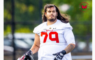 Pforzheim Wilddogs, Albershausen Crusaders, American Football, AFVD, American Football Verband Deutschland, GFL, German Football League, GFL2, Regionalliga, German Football Network,