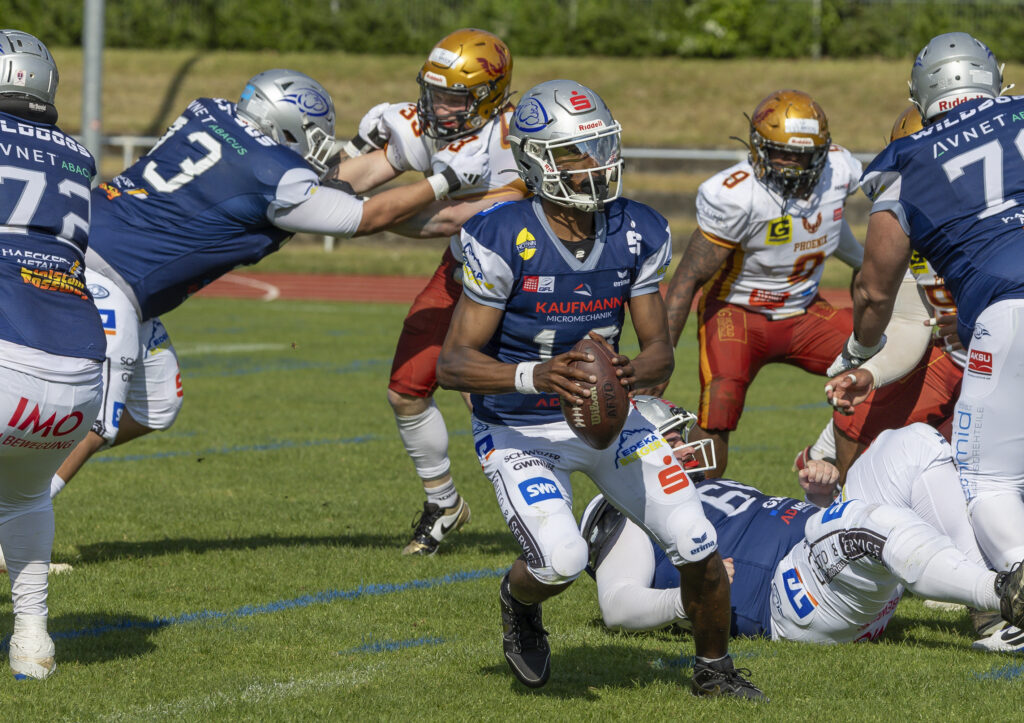 Pforzheim Wilddogs, American Football, AFVD, American Football Verband Deutschland, GFL, German Football League, GFL2, Regionalliga, German Football Network,