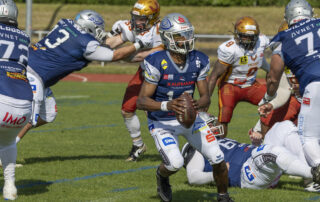 Pforzheim Wilddogs, American Football, AFVD, American Football Verband Deutschland, GFL, German Football League, GFL2, Regionalliga, German Football Network,