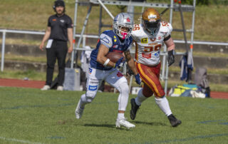 Pforzheim Wilddogs, American Football, AFVD, American Football Verband Deutschland, GFL, German Football League, GFL2, Regionalliga, German Football Network,