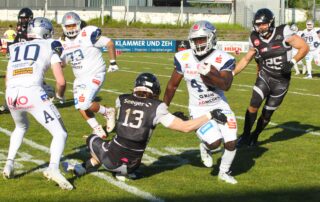 Pforzheim Wilddogs, American Football, AFVD, American Football Verband Deutschland, GFL, German Football League, GFL2, Regionalliga, German Football Network,