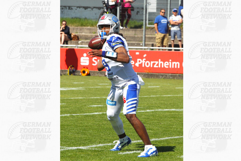Pforzheim Wilddogs, American Football, AFVD, American Football Verband Deutschland, GFL, German Football League, GFL2, Regionalliga, German Football Network,