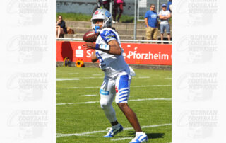 Pforzheim Wilddogs, American Football, AFVD, American Football Verband Deutschland, GFL, German Football League, GFL2, Regionalliga, German Football Network,