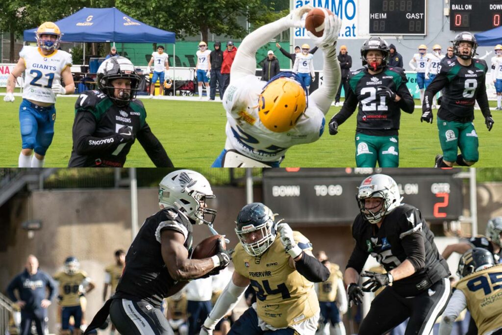 AFBÖ, German Football Network, GFN, German Football League, AFVD, GFL, DFFL, AFBÖ, AFLE, EFA, ELF, American Football, NFL, Football is family