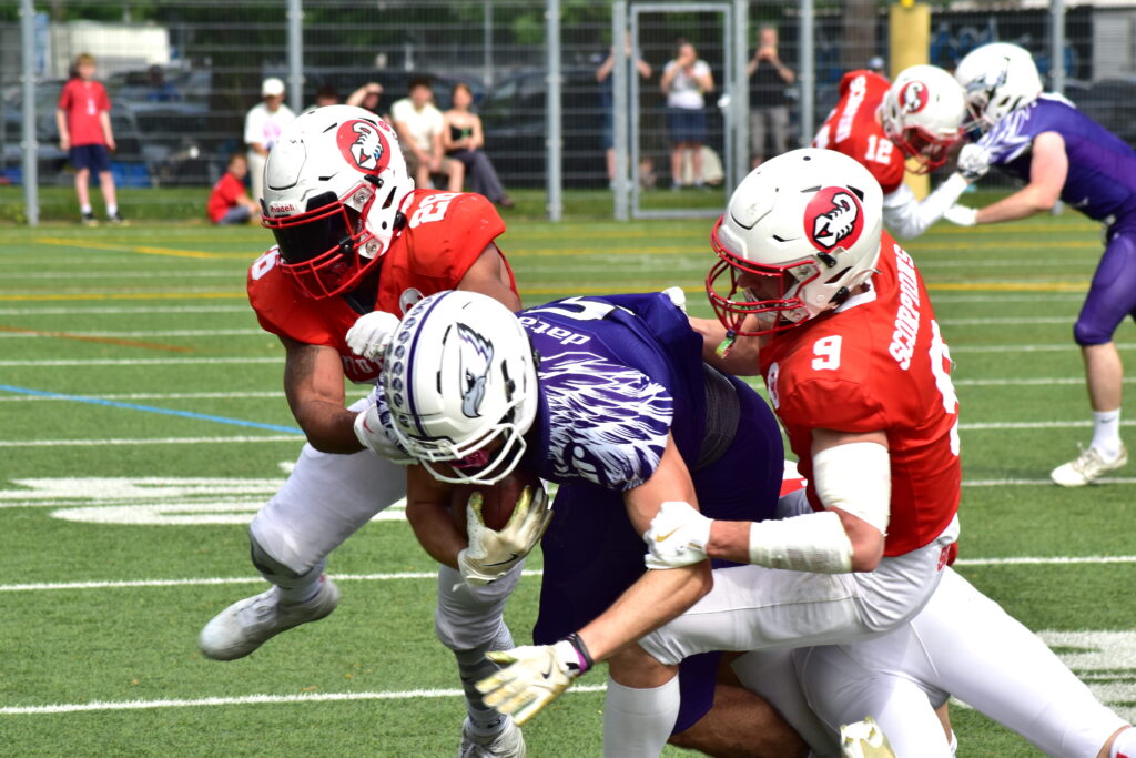 Stuttgart Scorpions, German Football Network, GFN, German Football League, AFVD, GFL, DFFL, AFBÖ, AFLE, EFA, ELF, American Football, NFL, Football is family