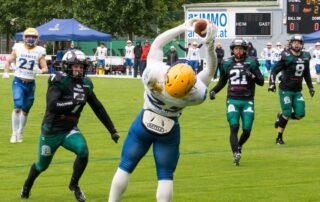 AFBÖ, German Football Network, GFN, German Football League, AFVD, GFL, DFFL, AFBÖ, AFLE, EFA, ELF, American Football, NFL, Football is family