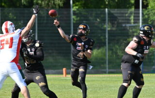Gießen Golden Dragons, American Football, AFVD, American Football Verband Deutschland, GFL, German Football League, German Football Network,