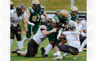 Gießen Golden Dragons, American Football, AFVD, American Football Verband Deutschland, GFL, German Football League, German Football Network,