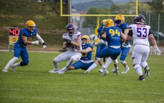 AFBÖ, German Football Network, GFN, German Football League, AFVD, GFL, DFFL, AFBÖ, AFLE, EFA, ELF, American Football, NFL, Football is family