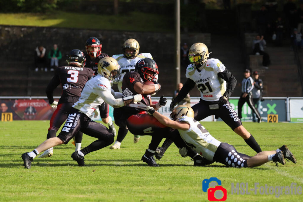 Solingen Paladins, Paderborn Dolphins, German Football Network, GFN, German Football League, AFVD, GFL, DFFL, AFBÖ, AFLE, EFA, ELF, American Football, NFL, Football is family