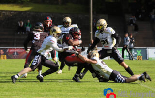 Solingen Paladins, Paderborn Dolphins, German Football Network, GFN, German Football League, AFVD, GFL, DFFL, AFBÖ, AFLE, EFA, ELF, American Football, NFL, Football is family
