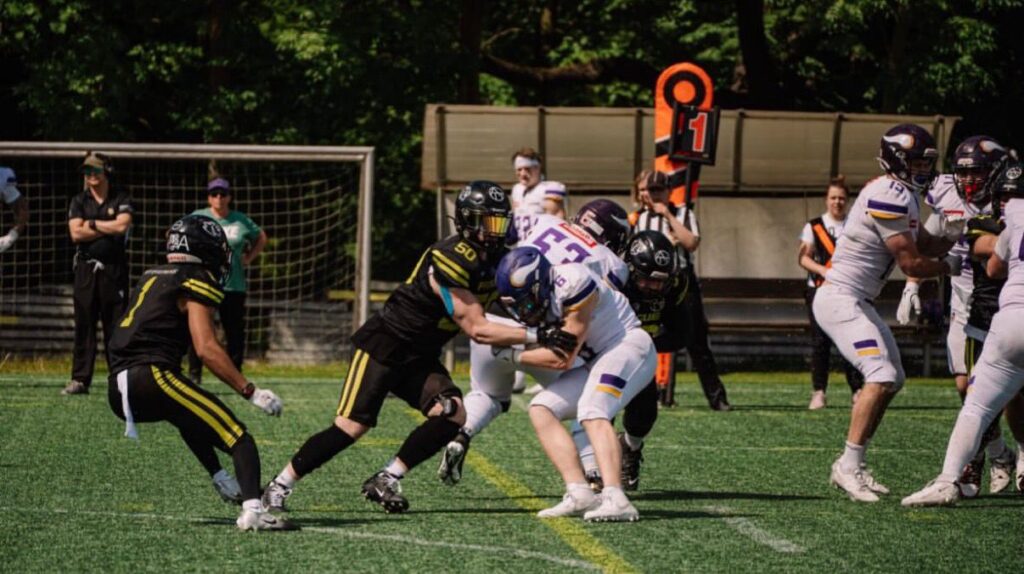 AFBÖ, German Football Network, GFN, German Football League, AFVD, GFL, DFFL, AFBÖ, AFLE, EFA, ELF, American Football, NFL, Football is family