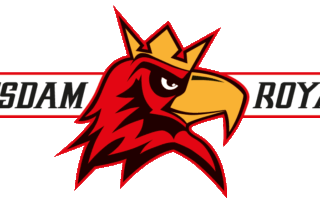 Potsdam Royals, American Football, AFVD, American Football Verband Deutschland, GFL, German Football League, German Football Network