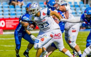 Pforzheim Wilddogs, American Football, AFVD, American Football Verband Deutschland, GFL, German Football League, GFL2, Regionalliga, German Football Network,