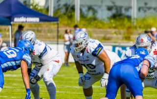 Pforzheim Wilddogs, American Football, AFVD, American Football Verband Deutschland, GFL, German Football League, GFL2, Regionalliga, German Football Network,