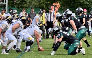 AFBÖ, German Football Network, GFN, German Football League, AFVD, GFL, DFFL, AFBÖ, AFLE, EFA, ELF, American Football, NFL, Football is family