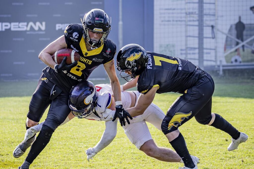 AFBÖ, German Football Network, GFN, German Football League, AFVD, GFL, DFFL, AFBÖ, AFLE, EFA, ELF, American Football, NFL, Football is family