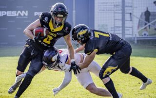 AFBÖ, German Football Network, GFN, German Football League, AFVD, GFL, DFFL, AFBÖ, AFLE, EFA, ELF, American Football, NFL, Football is family