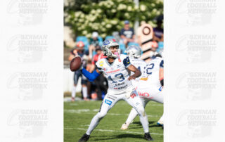Pforzheim Wilddogs, German Football Network, GFN, German Football League, AFVD, GFL, DFFL, AFBÖ, AFLE, EFA, ELF, American Football, NFL, Football is family
