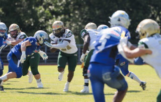 Fighting Farmers Montabaur, American Football, AFVD, American Football Verband Deutschland, GFL, German Football League, GFL2, Regionalliga, German Football Network,