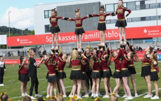 Pforzheim Wilddogs, German Football Network, GFN, German Football League, AFVD, GFL, DFFL, AFBÖ, AFLE, EFA, ELF, American Football, NFL, Football is family