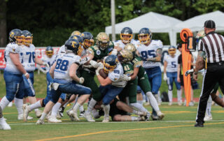 Fighting Farmers Montabaur, Wiesbaden Phantoms, German Football Network, GFN, German Football League, AFVD, GFL, DFFL, AFBÖ, AFLE, EFA, ELF, American Football, NFL, Football is family