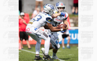 Pforzheim Wilddogs, German Football Network, GFN, German Football League, AFVD, GFL, DFFL, AFBÖ, AFLE, EFA, ELF, American Football, NFL, Football is family