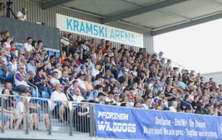 Pforzheim Wilddogs, American Football, AFVD, American Football Verband Deutschland, GFL, German Football League, GFL2, Regionalliga, German Football Network,