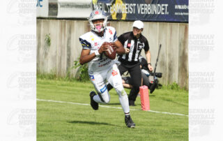 Pforzheim Wilddogs, American Football, AFVD, American Football Verband Deutschland, GFL, German Football League, GFL2, Regionalliga, German Football Network,