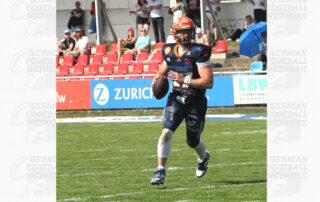 Pforzheim Wilddogs, American Football, AFVD, American Football Verband Deutschland, GFL, German Football League, GFL2, Regionalliga, German Football Network,