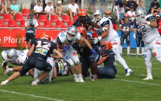 Pforzheim Wilddogs, American Football, AFVD, American Football Verband Deutschland, GFL, German Football League, GFL2, Regionalliga, German Football Network,