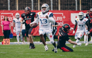 Pforzheim Wilddogs, American Football, AFVD, American Football Verband Deutschland, GFL, German Football League, GFL2, Regionalliga, German Football Network,