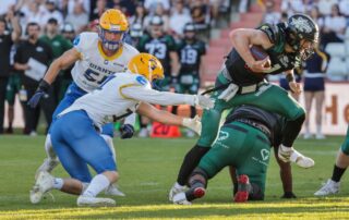 AFBÖ, German Football Network, GFN, German Football League, AFVD, GFL, DFFL, AFBÖ, AFLE, EFA, ELF, American Football, NFL, Football is family