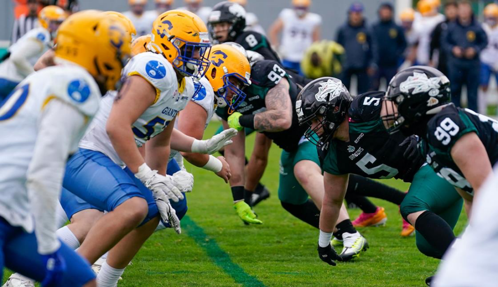 AFBÖ, German Football Network, GFN, German Football League, AFVD, GFL, DFFL, AFBÖ, AFLE, EFA, ELF, American Football, NFL, Football is family