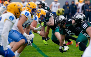 AFBÖ, German Football Network, GFN, German Football League, AFVD, GFL, DFFL, AFBÖ, AFLE, EFA, ELF, American Football, NFL, Football is family