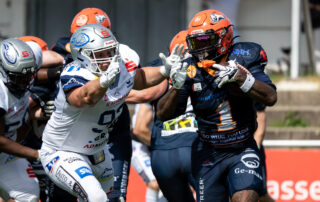 Pforzheim Wilddogs, American Football, AFVD, American Football Verband Deutschland, GFL, German Football League, GFL2, Regionalliga, German Football Network,