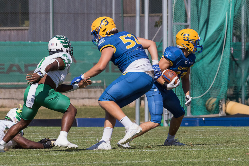 AFBÖ, German Football Network, GFN, German Football League, AFVD, GFL, DFFL, AFBÖ, AFLE, EFA, ELF, American Football, NFL, Football is family