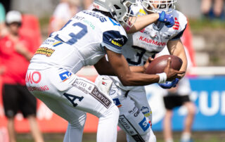 Pforzheim Wilddogs, American Football, AFVD, American Football Verband Deutschland, GFL, German Football League, GFL2, Regionalliga, German Football Network,