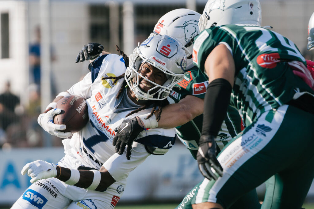 Pforzheim Wilddogs, American Football, AFVD, American Football Verband Deutschland, GFL, German Football League, GFL2, Regionalliga, German Football Network,