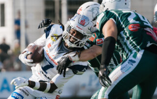 Pforzheim Wilddogs, American Football, AFVD, American Football Verband Deutschland, GFL, German Football League, GFL2, Regionalliga, German Football Network,
