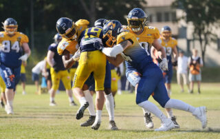 Wiesbaden Phantoms, German Football Network, GFN, German Football League, AFVD, GFL, DFFL, AFBÖ, AFLE, EFA, ELF, American Football, NFL, Football is family