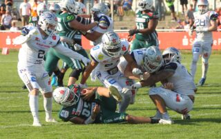 Pforzheim Wilddogs, German Football Network, GFN, German Football League, AFVD, GFL, DFFL, AFBÖ, AFLE, EFA, ELF, American Football, NFL, Football is family