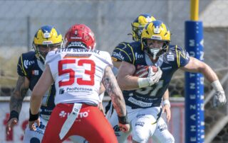 Hildesheim Invaders, German Football Network, GFN, German Football League, AFVD, GFL, DFFL, AFBÖ, AFLE, EFA, ELF, American Football, NFL, Football is family